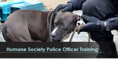 HUMANE SOCIETY POLICE OFFICER TRAINING – Federated Humane Societies Of ...